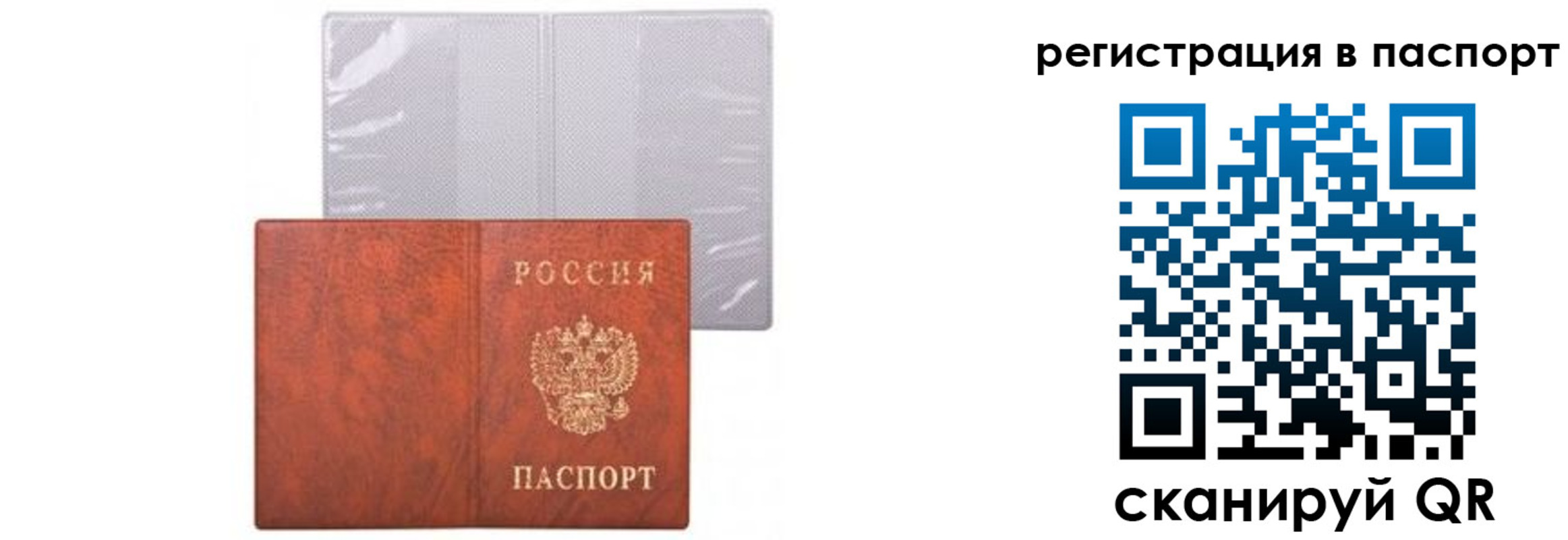 прописка ребенка в Суворове